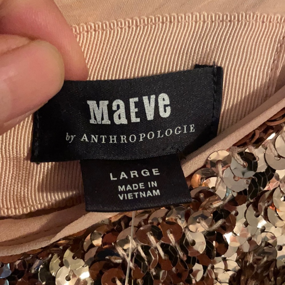 Anthropologie Sequins Dress